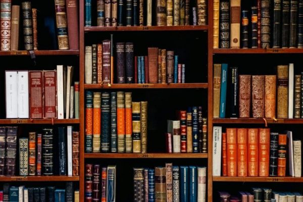 Gesetzbücher in einem Regal