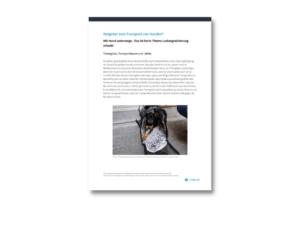 Hund im Auto Ratgeber