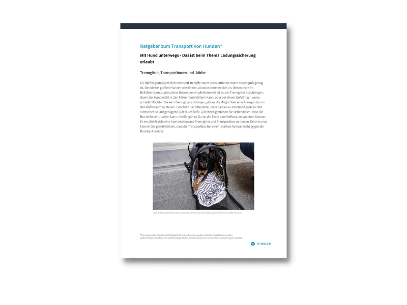 Hund im Auto Ratgeber
