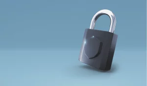 Privatsphäre und Datenschutz