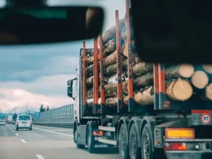 Transportermit Baumstämmen